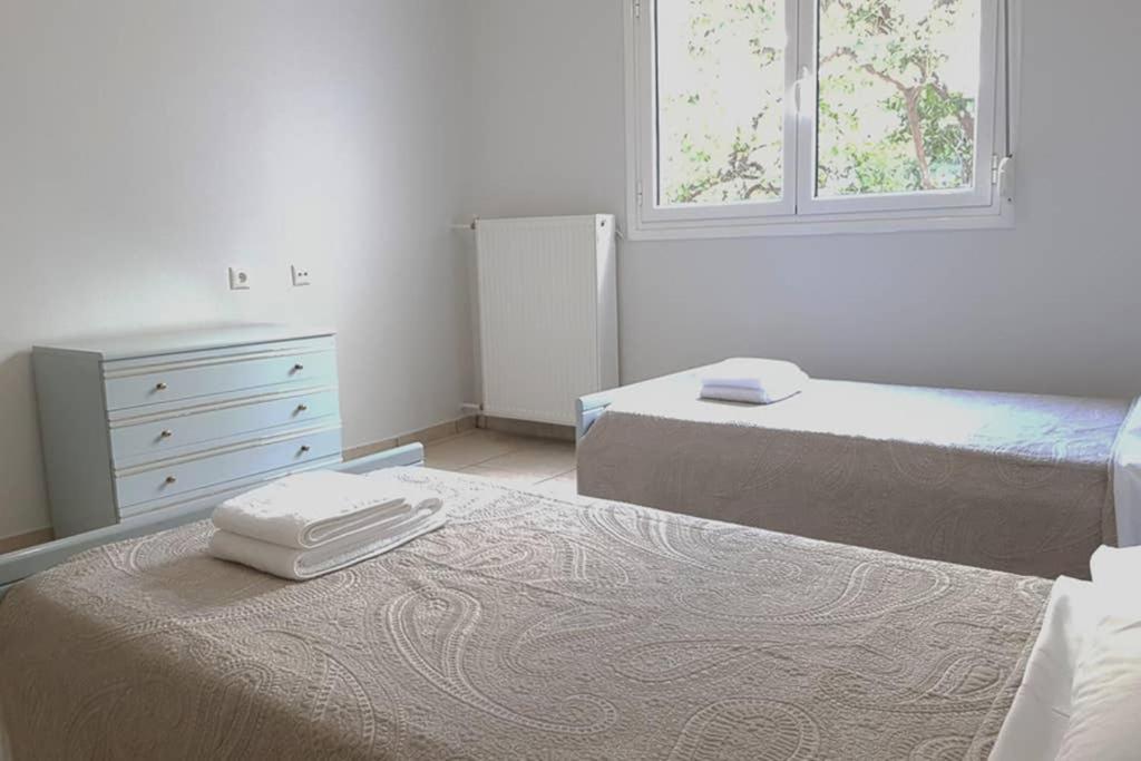 אתונה A Great Stay At A Comfortable Large Apartment מראה חיצוני תמונה